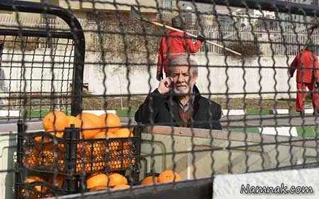 تصاویر سریال سربه راه سریال سربه راه